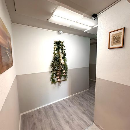 F-F Haus Schlierbach Appartement Buitenkant foto